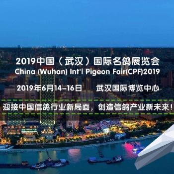 2019中國(guó)（武漢）CPF國(guó)際名鴿展