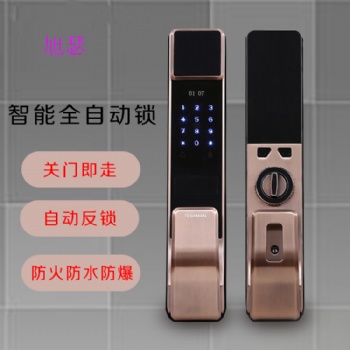 廠(chǎng)家指紋密碼鎖智能鎖防盜門(mén)電子鎖全自動(dòng)指紋鎖智能門(mén)鎖現(xiàn)貨