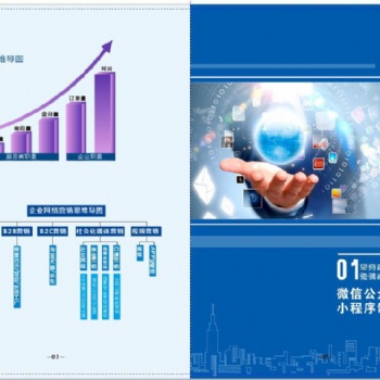 網(wǎng)站建設(shè)與維護(hù) 微信支付服務(wù)商 望海網(wǎng)絡(luò) 小程序開發(fā)