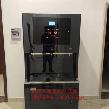 廣東威可利單位直飲水機(jī)廠家 高端反滲透飲水機(jī) WR-90L