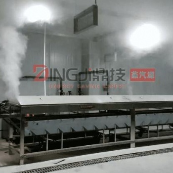常熟DINGJI鼎技農用蒸汽能源，農用低氮蒸汽能源