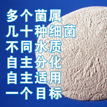 污水處理菌種 紡織印染廢水處理 北京直達(dá)廠家 歡迎您的光臨
