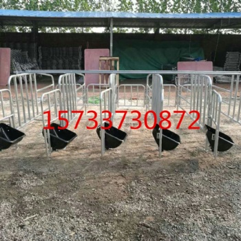 養(yǎng)豬設備 母豬定位欄 限位欄母豬產(chǎn)床小豬保育床養(yǎng)豬場設備食槽