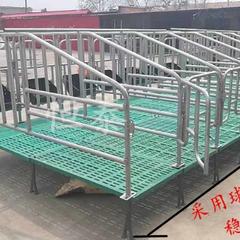 滄州仔豬分娩床產(chǎn)保育床養(yǎng)豬場養(yǎng)殖設備