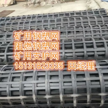 安平森旺生產鋼塑護幫網，雙抗網，阻燃鋼塑格柵網