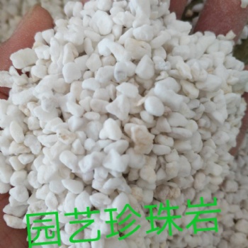 安徽優質園藝珍珠巖廠家