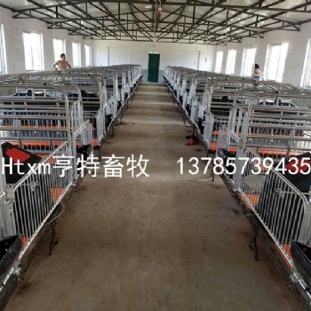 四川錦州養(yǎng)豬設備產(chǎn)床定位欄發(fā)貨廠家河北亨特畜牧