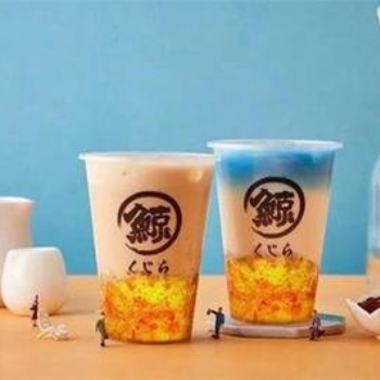 海深見鯨，夢醒見你--帶你走進琉璃鯨