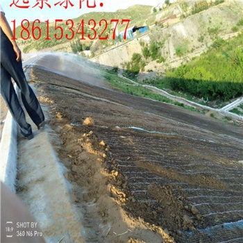帶草籽的植物纖維毯 江蘇等地鹽堿地改良用的抗沖生態(tài)毯
