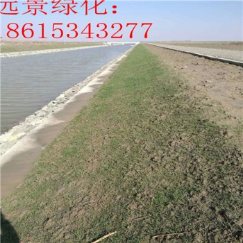 帶草籽的植物纖維毯 哪種抗沖生態(tài)毯效果比較好 抗沖毯的價格