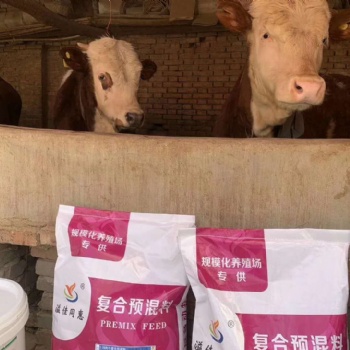 肉牛預(yù)混料飼料廠家