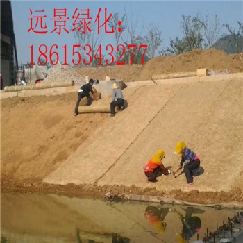 防洪生態(tài)袋 生態(tài)袋河道綠化 植生毯質(zhì)量** 江西植生毯 植物纖維毯護(hù)坡