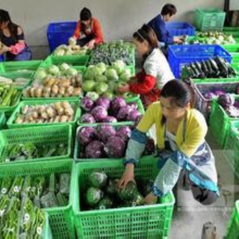 企石食堂承包、蔬菜配送公司、團(tuán)體餐配送