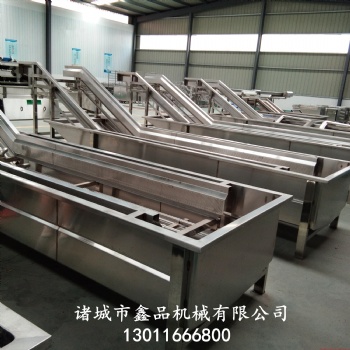 蔬菜清洗機(jī) 多功能清洗機(jī) 瓜果清洗機(jī) 氣泡清洗機(jī)