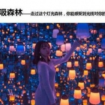 體驗光影的奧秘網(wǎng)紅夢幻呼吸森林出租租售