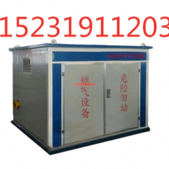3000CNG立方電熱式減壓穩(wěn)壓裝置 然氣調(diào)壓柜