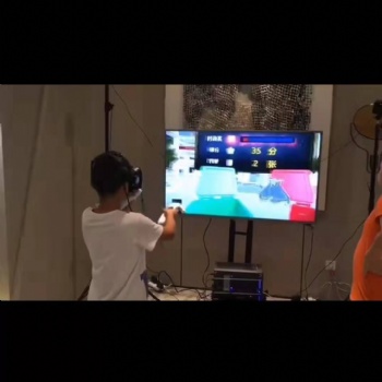 紹興社區(qū)道具VR垃圾分類游戲出租
