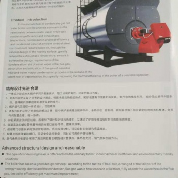 銀晨集團 百陽豐鍋爐循環(huán)流化床鍋爐煤質(zhì)要求品質(zhì)廠家