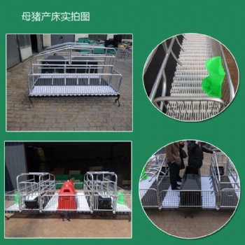 母豬產(chǎn)床種類齊全母豬產(chǎn)床廠家可根據(jù)客戶需要定做各種尺寸