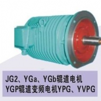 西安YG,YGa，YGb,YPG,YGP,YVPG變頻調(diào)速輥道電機(jī)廠家