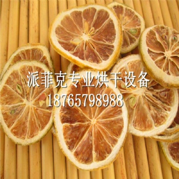 檸檬片熱循環(huán)空氣烘干機