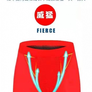 量子12點(diǎn)能量內(nèi)褲 創(chuàng)新一體式U凸囊袋設(shè)計(jì) 提升性功能
