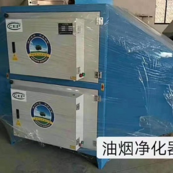 廢氣處理設(shè)備環(huán)保箱廢氣凈化器