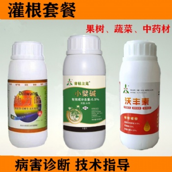 獼猴桃秋季灌根施肥要點(diǎn) 青枯立克灌根套餐效果佳