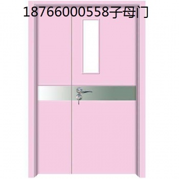 各醫(yī)用不銹鋼子母門公司大量定制