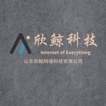 山東欣鯨網(wǎng)絡(luò)科技軟件開發(fā)