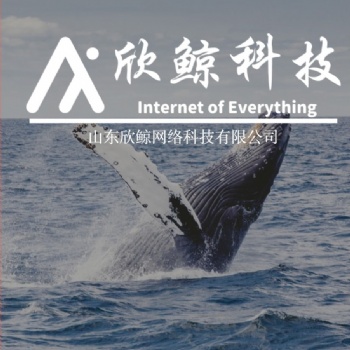 山東欣鯨網(wǎng)絡(luò)科技定制軟件