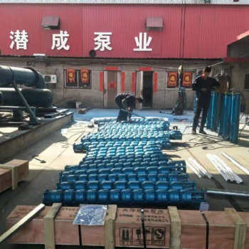 北京耐高溫深井泵型號_參數(shù)_廠家批發(fā)安裝