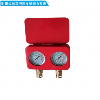 耐震式綜采液壓支架測(cè)力雙表