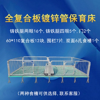 養(yǎng)母豬設備 雙體母豬產(chǎn)床分娩床設備泊頭遠承廠家