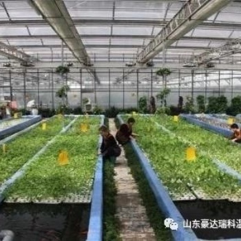 生態餐廳，農業園區規劃