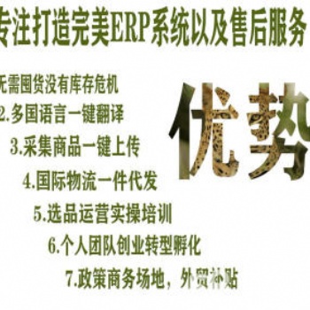 樂境通跨境電商無(wú)貨源培訓(xùn)，OEM可貼牌