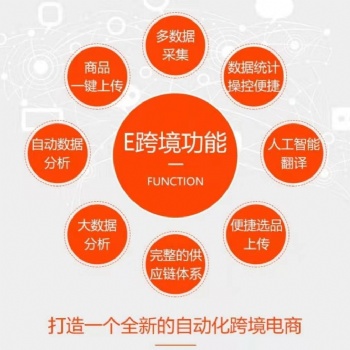越來(lái)越多企業(yè)會(huì)依靠跨境電商平臺(tái)走出去