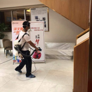 羅湖區專業除甲醛、消殺服務、滅白蟻、除蟲除蟻、除蟑螂