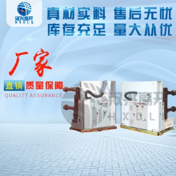VS1-24 630A戶內(nèi)高壓真空斷路器廠家長期供應(yīng)