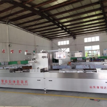 康瑞達DZR420拉伸膜包裝機 休閑食品小面筋拉伸膜包裝機