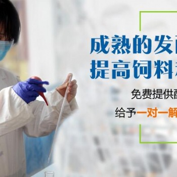 構(gòu)樹(shù)發(fā)酵的方法和技巧