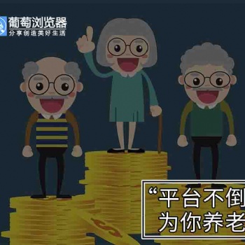 論葡萄瀏覽器的長(zhǎng)久性!