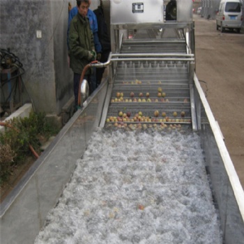 廠家生產(chǎn)蘋果氣泡清洗機 俞洋機械