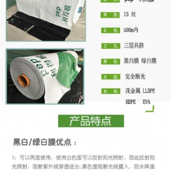 家禽養(yǎng)殖黑白膜 雞鴨養(yǎng)殖膜 養(yǎng)殖大棚防曬膜 養(yǎng)殖黑白膜