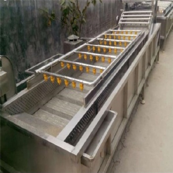 多功能洗菜機(jī)蜜橙清洗機(jī) 諸城俞洋廠家