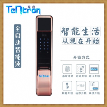 騰創(chuàng)智能全自動(dòng)門(mén)鎖A19鎖體通用兩端鎖體