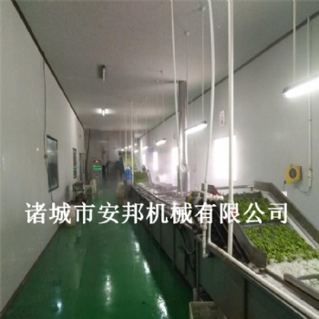 全自動(dòng)毛豆清洗機(jī) 清洗干凈售后無憂