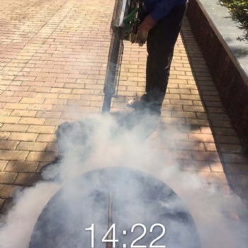 海南蚊蟲防治服務(wù)，殺伊蚊滅蚊蟲