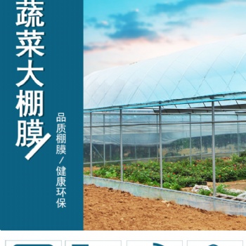 大棚膜 塑料布透明加厚無滴膜蔬菜抗寒保溫大棚薄膜po農(nóng)用養(yǎng)殖膜