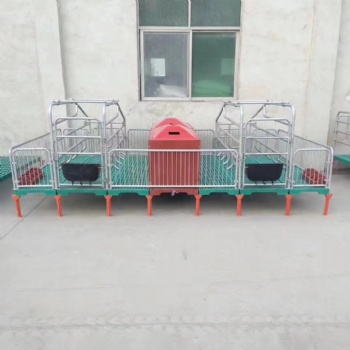 廠家母豬產床落地式，豬用復合板單雙體分娩床保育床，兩用定位欄養豬設備